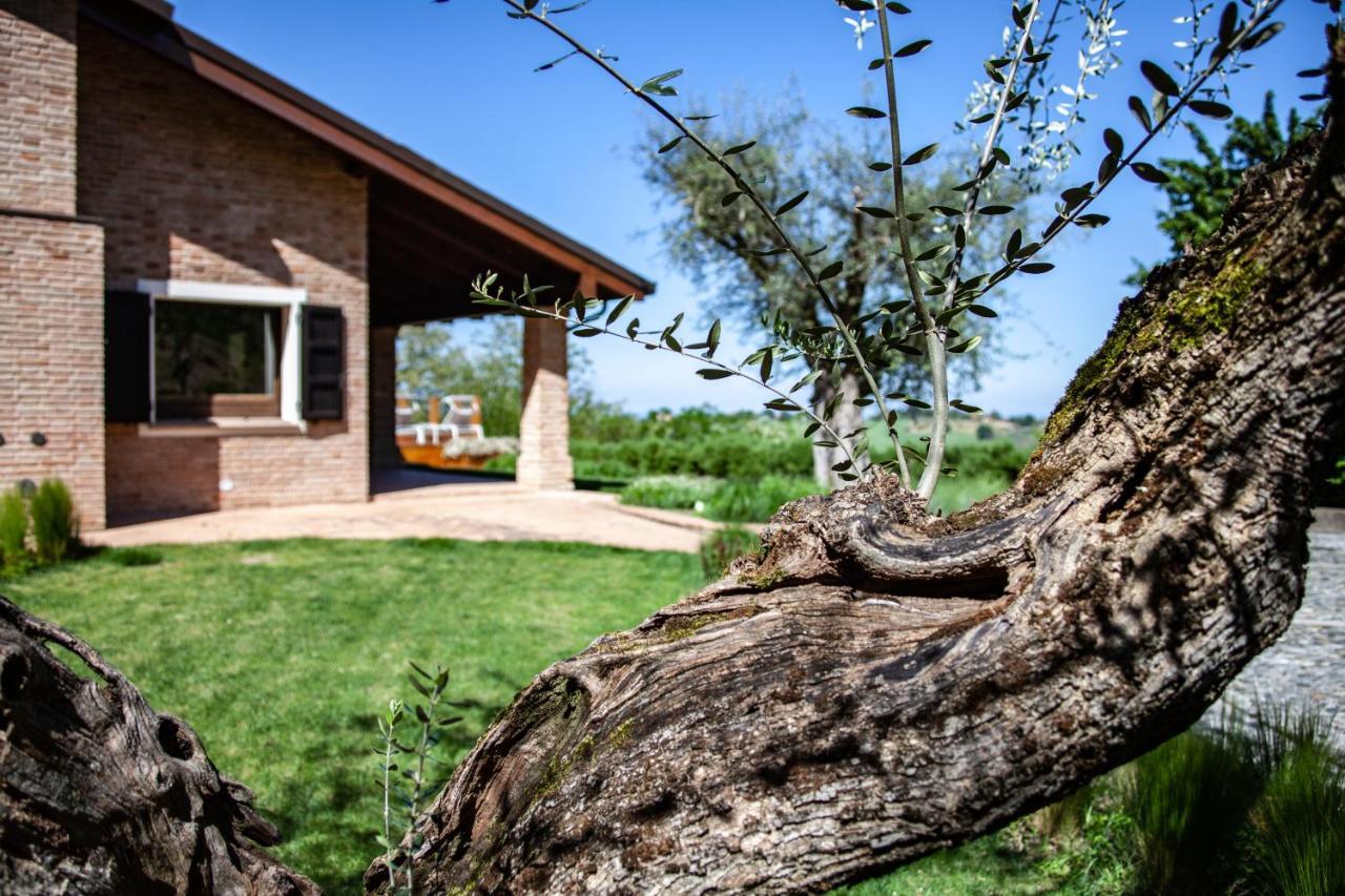 Resort Villa Paola Longiano 外观 照片